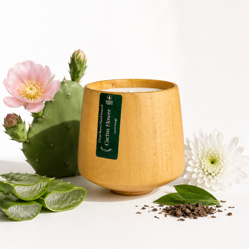 Sweet agave and watery aloe enhance the fresh-cut green leaves and chrysanthemum petals, while base notes of patchouli ground it with a pleasing earthiness.